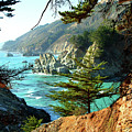 Big Sur Vista Photograph by Charlene Mitchell Big Sur Vista Photograph by Charlene Mitchell