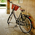 Bike at the school gate. Photograph by Elena Perelman Bike at the school gate. Photograph by Elena Perelman