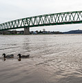 Bike Trail for the Ducks Photograph by Holden The Moment Bike Trail for the Ducks Photograph by Holden The Moment