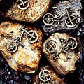 Biking trail scene Photograph by Jorgo Photography Biking trail scene Photograph by Jorgo Photography