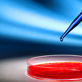 Biotechnology Experiment in Science Research Lab Photograph by Science Research Lab By Olivier Le Queinec Biotechnology Experiment in Science Research Lab Photograph by Science Research Lab By Olivier Le Queinec