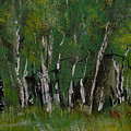 Birch Tree Panorama Pastel by David Patterson