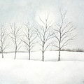 Birch Trees Under the Winter Sun Painting by Christopher Shellhammer Birch Trees Under the Winter Sun Painting by Christopher Shellhammer