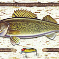 Birch Walleye Painting by JQ Licensing