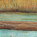 Bird in Flight by Nadine Rippelmeyer Bird in Flight by Nadine Rippelmeyer