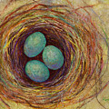 Bird Nest Painting by Hailey E Herrera Bird Nest Painting by Hailey E Herrera