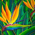 Bird of Paradise Painting by Daniel Jean-Baptiste Bird of Paradise Painting by Daniel Jean-Baptiste
