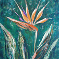 Bird Of Paradise by Gina De Gorna Bird Of Paradise by Gina De Gorna