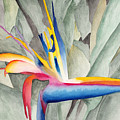 Bird Of Paradise Painting by Ken Powers Bird Of Paradise Painting by Ken Powers