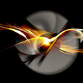 Bird of Passage by Aniko Hencz Bird of Passage by Aniko Hencz