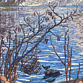 Bird on a Stone Painting by MotionAge Designs Bird on a Stone Painting by MotionAge Designs