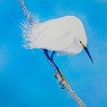 Bird on a Wire Painting by Midge Pippel Bird on a Wire Painting by Midge Pippel