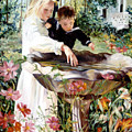 Birdbath Glass Art by Marie Witte Birdbath Glass Art by Marie Witte