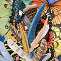 Bits of Flight Painting by Lucy Arnold Bits of Flight Painting by Lucy Arnold