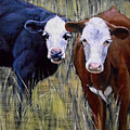 Black and Brown Cow Painting by Christopher Shellhammer Black and Brown Cow Painting by Christopher Shellhammer