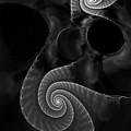 Black and White Fractal 080810 by David Lane Black and White Fractal 080810 by David Lane