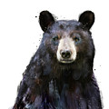 Black Bear Painting by Amy Hamilton Black Bear Painting by Amy Hamilton