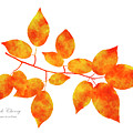 Black Cherry Pressed Leaf Art Mixed Media by Christina Rollo Black Cherry Pressed Leaf Art Mixed Media by Christina Rollo