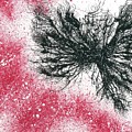 Black Hole Cosmology #670 by Rainbow Artist Orlando L