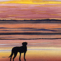 Black Lab Sunset Painting by David Rogers Black Lab Sunset Painting by David Rogers