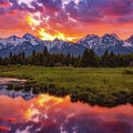 Black Ponds Sunset Photograph by Darren White Black Ponds Sunset Photograph by Darren White