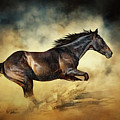 Black Stallion horse Galloping like a devil Photograph by Dimitar Hristov Black Stallion horse Galloping like a devil Photograph by Dimitar Hristov