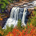 Blackwater Falls by Steve Harrington Blackwater Falls by Steve Harrington