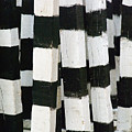 Blanco y Negro by Skip Hunt Blanco y Negro by Skip Hunt