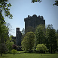 Blarney Castle Ireland Photograph by Teresa Mucha Blarney Castle Ireland Photograph by Teresa Mucha