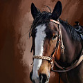Blaze by Susan Kinney Blaze by Susan Kinney