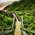 Block Island Photograph by Lourry Legarde Block Island Photograph by Lourry Legarde