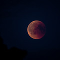 Blood Moon Photograph by Torbjorn Swenelius Blood Moon Photograph by Torbjorn Swenelius