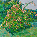 Blossoming bush landscape by Vitali Komarov Blossoming bush landscape by Vitali Komarov