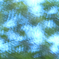 Blowing In The Wind by Steven Natanson Blowing In The Wind by Steven Natanson