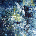 Blue Beauties by Ruth Palmer Blue Beauties by Ruth Palmer