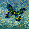 Blue Butterfly by Hailey E Herrera Blue Butterfly by Hailey E Herrera