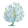 Blue Coral Painting by Amy Kirkpatrick Blue Coral Painting by Amy Kirkpatrick