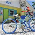 Blue Dog Matlacha Island Florida by Edward Fielding Blue Dog Matlacha Island Florida by Edward Fielding