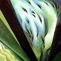 Blue Green Music Painting by Georgia OKeefe Blue Green Music Painting by Georgia OKeefe