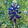 Blue in Bloom 2 Painting by Hailey E Herrera Blue in Bloom 2 Painting by Hailey E Herrera