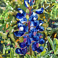 Blue in Bloom by Hailey E Herrera Blue in Bloom by Hailey E Herrera
