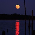 Blue Moon Photograph by Raymond Salani III Blue Moon Photograph by Raymond Salani III