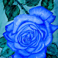 Blue Rose Painting by Quwatha Valentine Blue Rose Painting by Quwatha Valentine