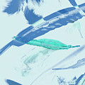 Blue Toned Artistic Feather Abstract by Jorgo Photography - Wall Art Gallery Blue Toned Artistic Feather Abstract by Jorgo Photography - Wall Art Gallery