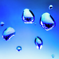 Blue Water Droplets On Glass by Jorgo Photography - Wall Art Gallery Blue Water Droplets On Glass by Jorgo Photography - Wall Art Gallery