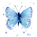 Blue Watercolor Butterfly Painting by Olga Shvartsur Blue Watercolor Butterfly Painting by Olga Shvartsur