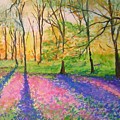 Bluebell Wood by Lizzy Forrester Bluebell Wood by Lizzy Forrester