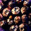 Blueberries And Ladybug by Nancy Mueller Blueberries And Ladybug by Nancy Mueller