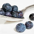 Blueberries for... Photograph by Holly Ross Blueberries for... Photograph by Holly Ross