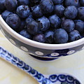 Blueberries In Polish Pottery Bowl by Carol Groenen Blueberries In Polish Pottery Bowl by Carol Groenen
